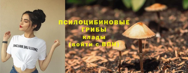 прущий лед Алзамай