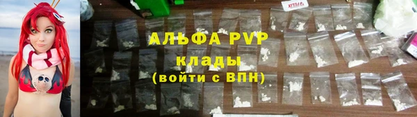 прущий лед Алзамай