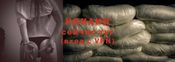 прущий лед Алзамай