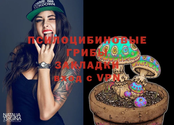 прущий лед Алзамай