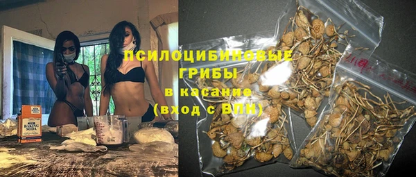 стаф Алексеевка