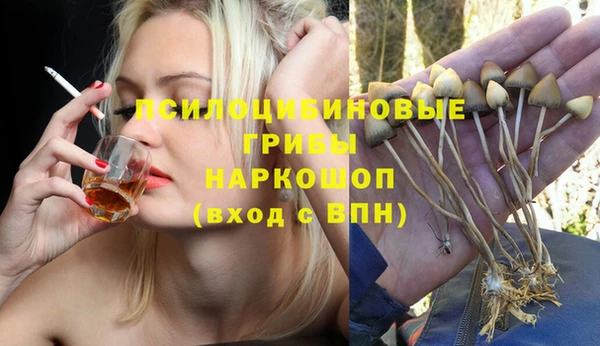 стаф Алексеевка
