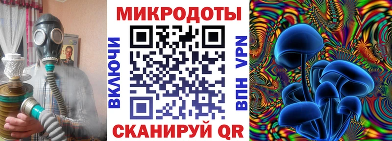 Псилоцибиновые грибы Cubensis Лагань
